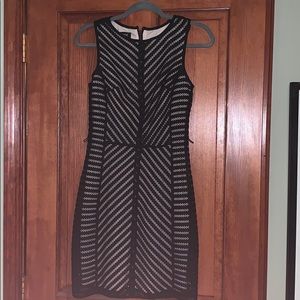 Black and Tan cocktail dress